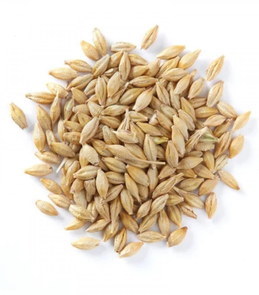 images-barley-500x500